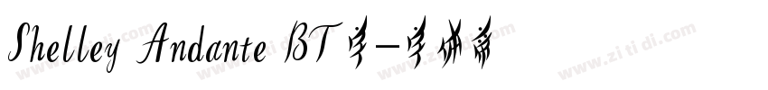 Shelley Andante BT字字体转换